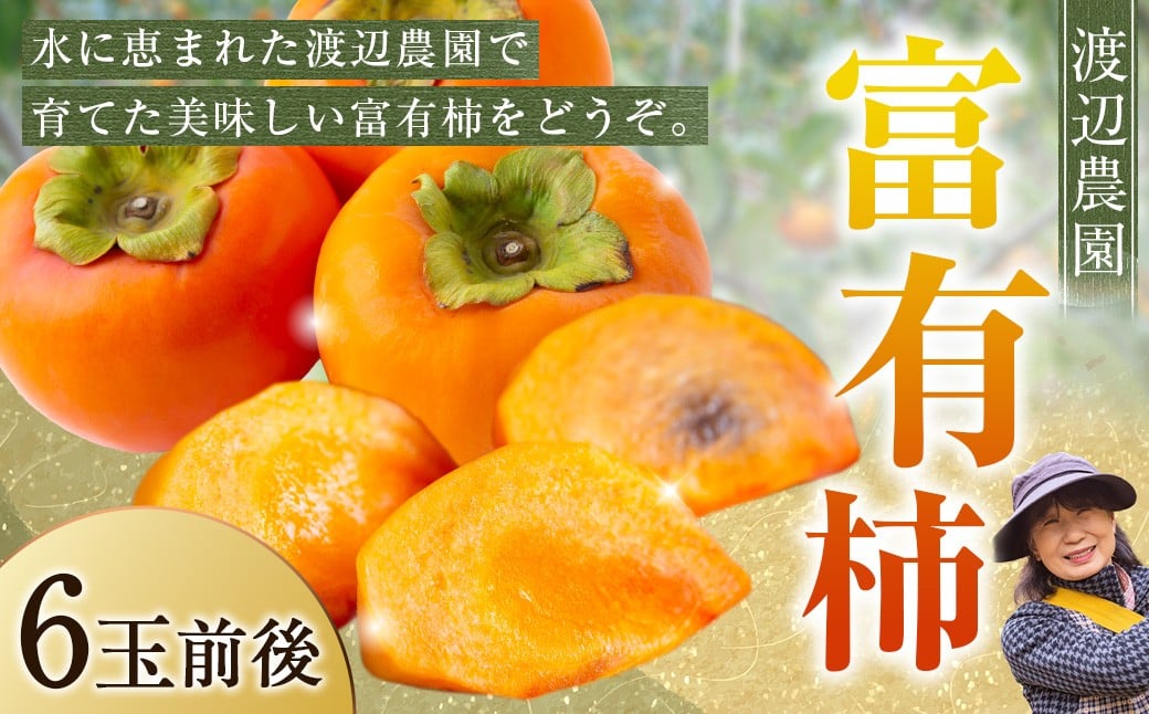 【先行予約】渡辺農園 富有柿 6玉前後 2025年11月中旬から12月上旬 出荷予定