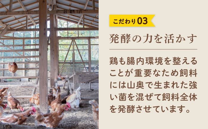 【月2回 12ヶ月定期便】平飼い 山もりたまご 40個 安心安全 おいしさに感動 たまご 卵 高級卵 平飼い 安心安全 飼料にこだわり 成長剤 ホルモン剤 添加物不使用 定期便