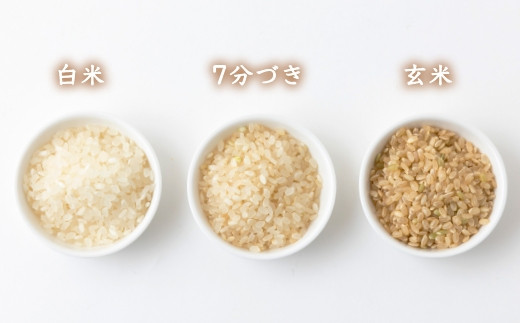 【定期便】みずほファーム「瑞穂の一 “撰sen”」(白米2.1kg × 12ヶ月)