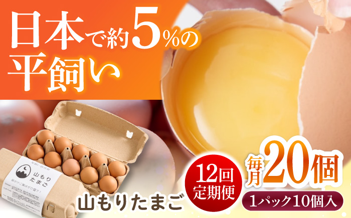 【12ヶ月定期便】平飼い 山もりたまご 20個 安心安全 おいしさに感動 たまご 卵 高級卵 平飼い 安心安全 飼料にこだわり 成長剤 ホルモン剤 添加物不使用 12回定期便