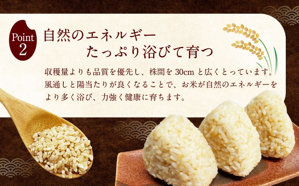 自然栽培 ひのひかり 玄米 5kg 【2025年10月下旬より発送予定】 米 お米 ご飯  うきは市