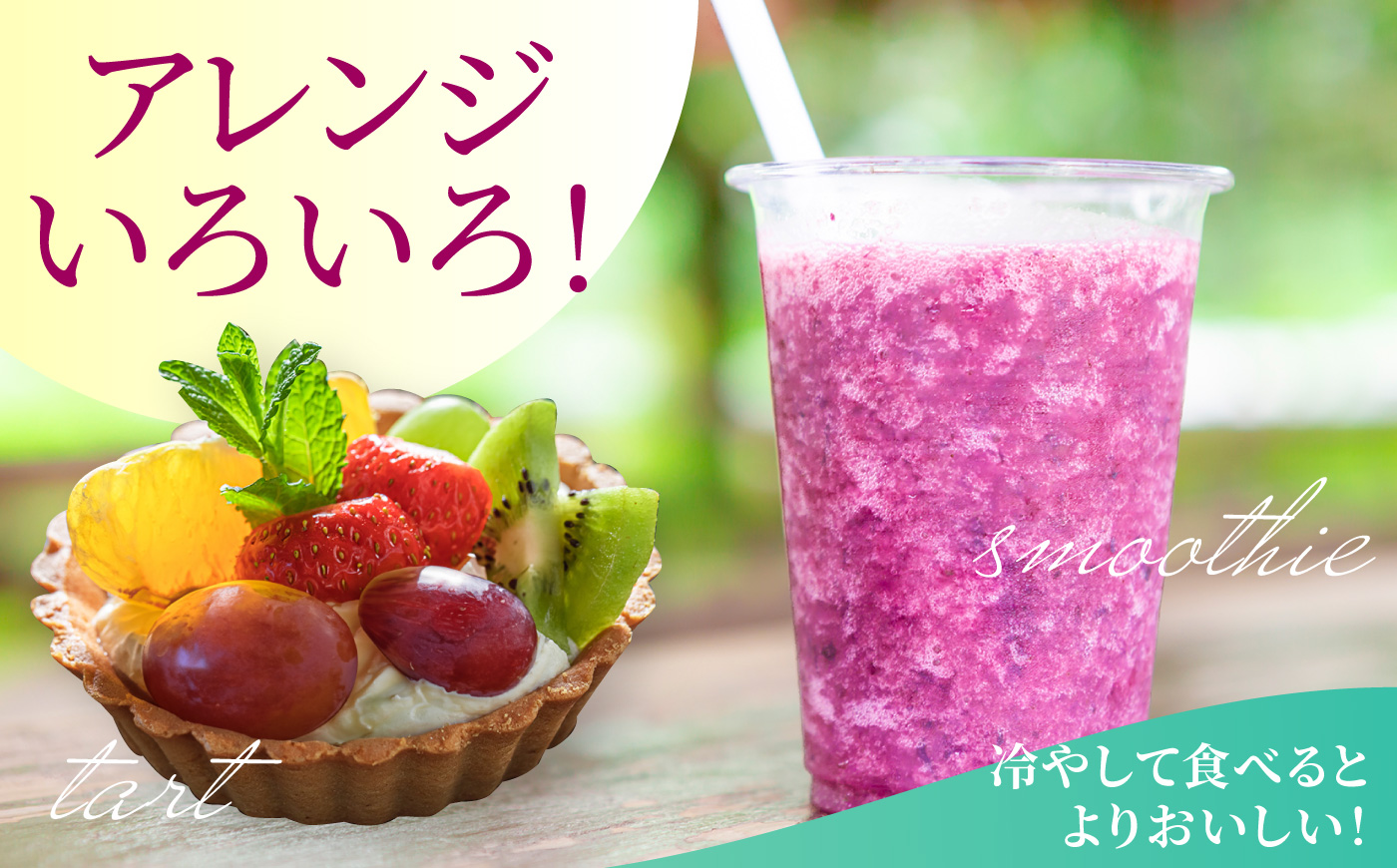 【先行予約】コクのある甘さ 種あり 巨峰 4房から6房 2025年8月下旬から9月上旬 出荷予定【春光園】 ぶどう ブドウ 葡萄 巨峰 種あり 果物 フルーツ
