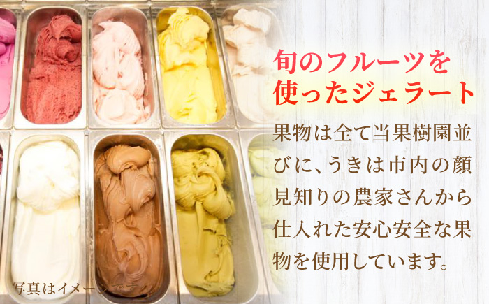 【年4回定期便】ソルベッチdoうきは ジェラート120ml×6個セット【ソルベッチdoうきは】着色料不使用 ノンホモ牛乳使用 ジェラート アイス 旬 スイーツ 詰め合わせ セット シャーベット ミルク フルーツ デザート 定期便