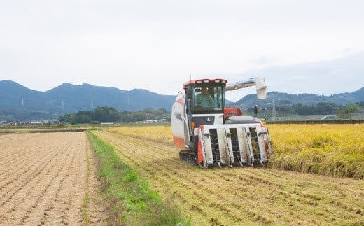 【2025年10月下旬より順次発送開始】野上耕作舎 野上米ヒノヒカリ 玄米30kg ひのひかり 玄米 米 お米 ご飯 国産 九州産 福岡県 うきは市