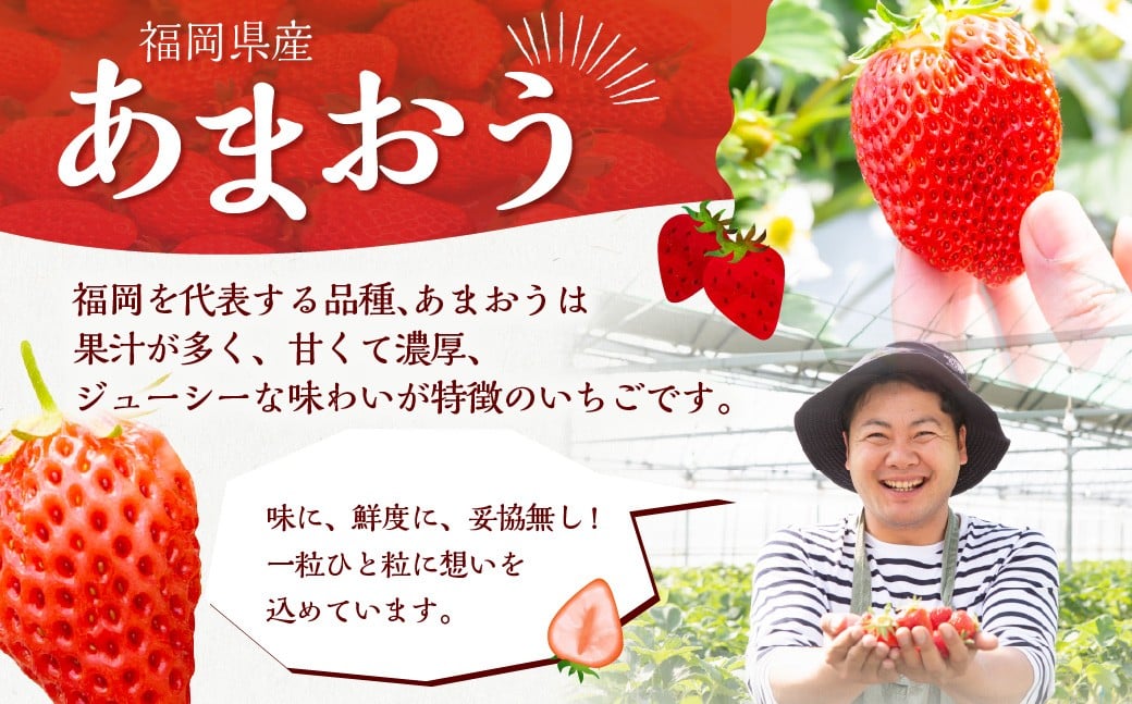 ã4åå®æäŸ¿ã ãããããã¡ã 2åãŸãã¯3åçš®é£ã¹æ¯ã¹ã»ãã ã2026幎1æäžæ¬ïœ4æäžæ¬ æ¯æåºè·äºå®ã ããããèº èº ãã¡ã ã€ã㎠æç© æå® ãã«ãŒã é£ã¹æ¯ã¹ ã»ãã å®æäŸ¿ ä¹å· çŠå²¡ç ããã¯åž å·èµ