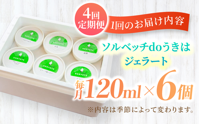 【年4回定期便】ソルベッチdoうきは ジェラート120ml×6個セット【ソルベッチdoうきは】着色料不使用 ノンホモ牛乳使用 ジェラート アイス 旬 スイーツ 詰め合わせ セット シャーベット ミルク フルーツ デザート 定期便