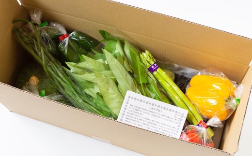 【月イチ定期便】UIC 名水うきはの無農薬減農薬お野菜セット(1ヶ月1箱×12回)