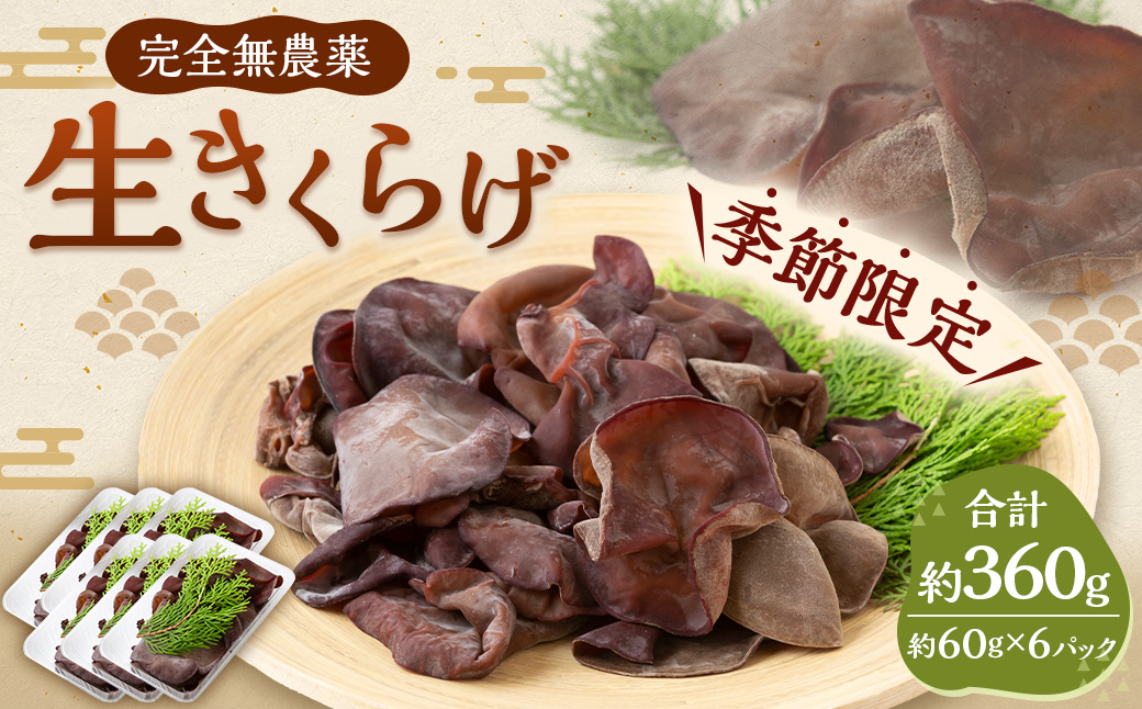 【先行予約】UIC 季節限定！完全無農薬！生きくらげ (約60g×6パック) 2025年5月から7月 出荷予定