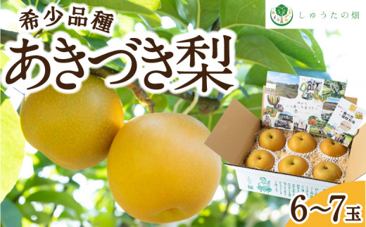 【先行予約】しゅうたの畑 希少品種 あきづき梨 6玉から7玉 2025年9月上旬から9月中旬 出荷予定