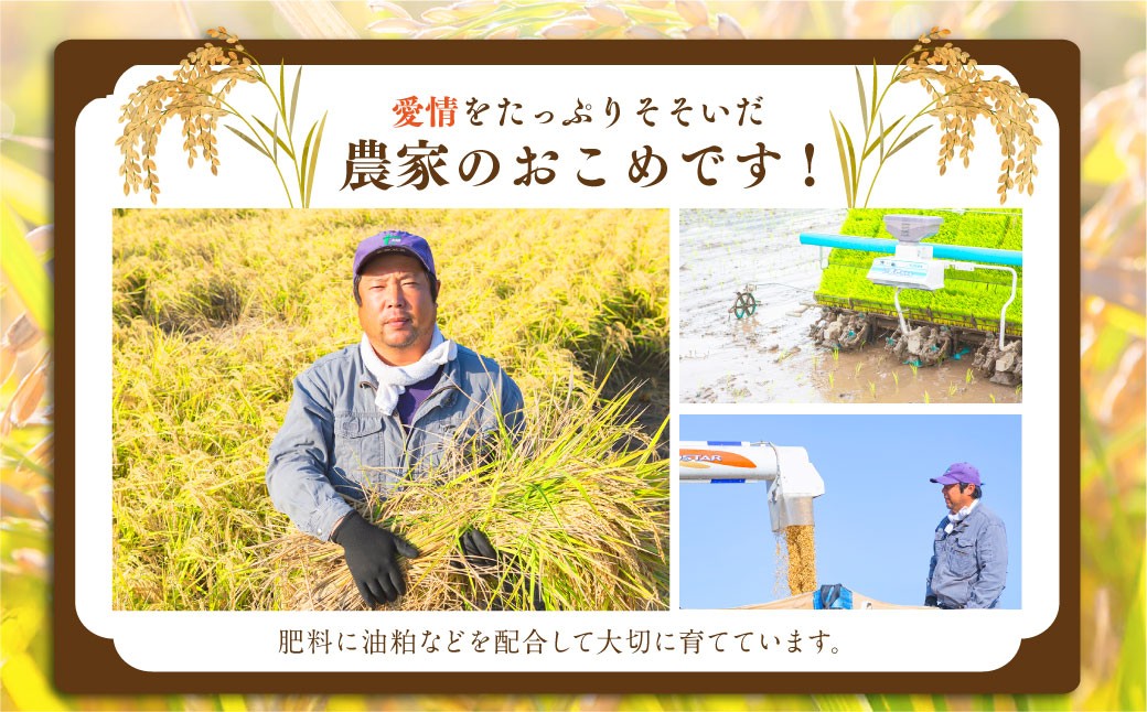 æ¥æ°žå ãããã«ãª çç±³10kg ã2025幎11æäžæ¬ããçºéäºå®ã ç±³ ãç±³ ã飯 ããã¯åž