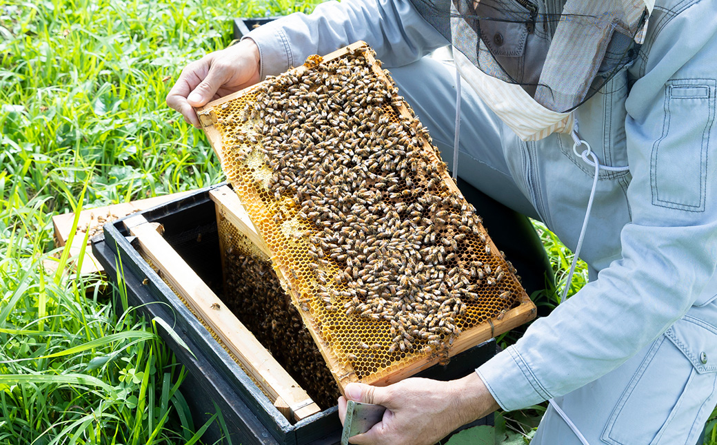 樋口養蜂場 国産百花はちみつ 1kg　ハニー 蜂蜜 ハチミツ
