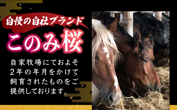 【12回定期便】鮮度抜群！冷蔵お届け 上馬刺し 赤身 約150g ブランド馬肉「このみ桜」馬刺し用醤油付き【馬庵このみ】馬刺し 馬肉 赤身ブロック 国産 九州産 冷蔵