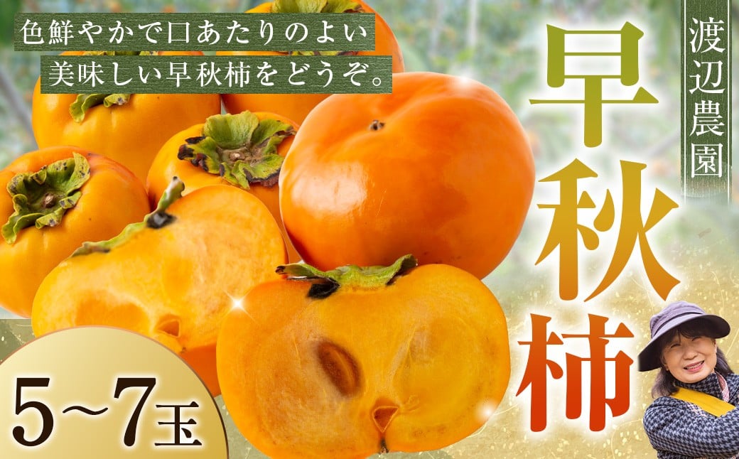 【先行予約】 渡辺農園 早秋柿 6玉前後 【2025年9月下旬から10月上旬 出荷予定】 柿 かき カキ 早秋 そうしゅう 果物 くだもの フルーツ 果実 ジューシー お取り寄せ 福岡県 うきは市