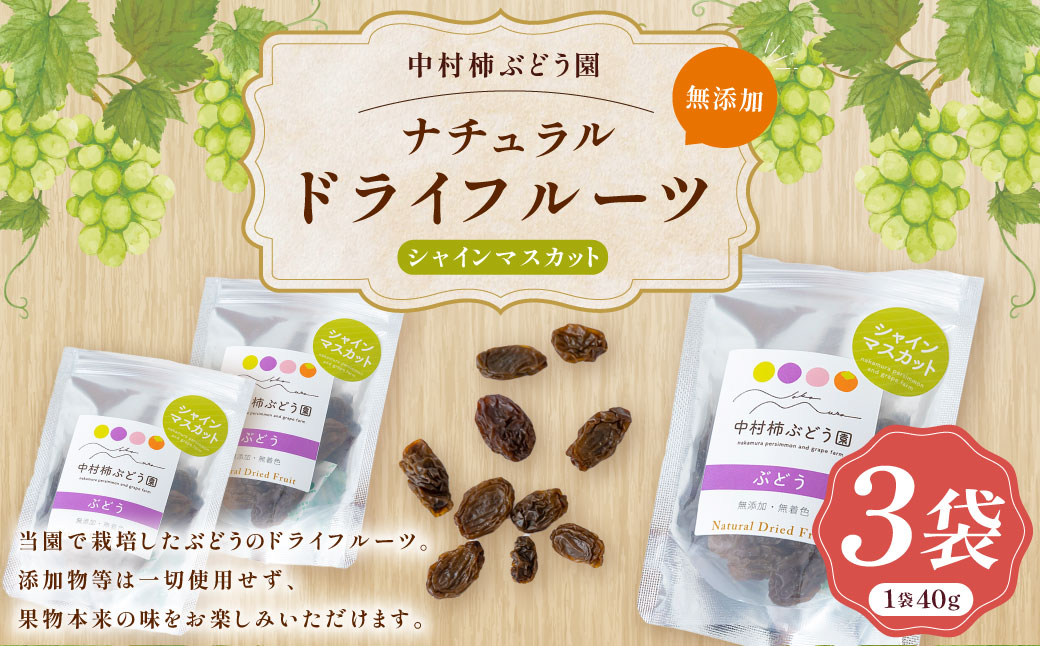 中村柿ぶどう園 ナチュラルドライフルーツ (シャインマスカット) 約40g×3個 