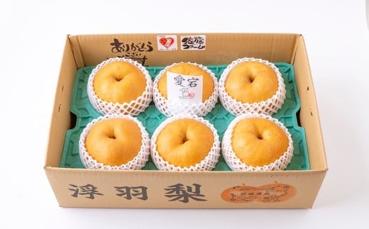 【先行予約】佐藤ファーム 愛宕梨 5玉から8玉(約5kg) 2025年11月上旬 出荷予定