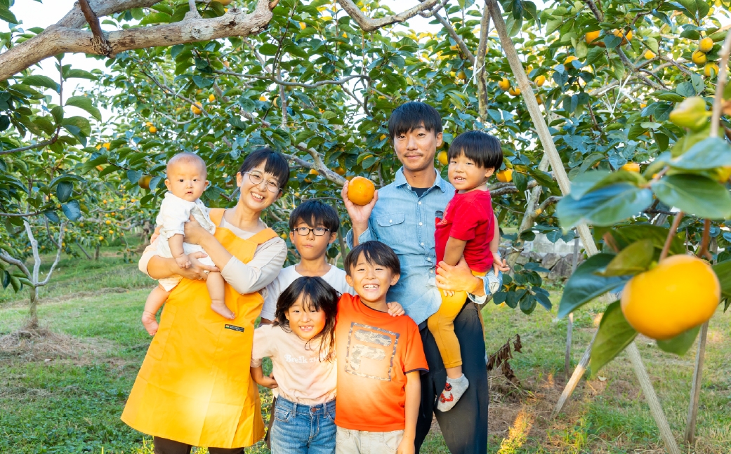 特選太秋柿 3玉  （ 約1kg ）  贈答用 ギフト 太秋柿 柿 フルーツ 果物 ギフト 完熟 【 2026年11月上旬～12月上旬発送予定 】