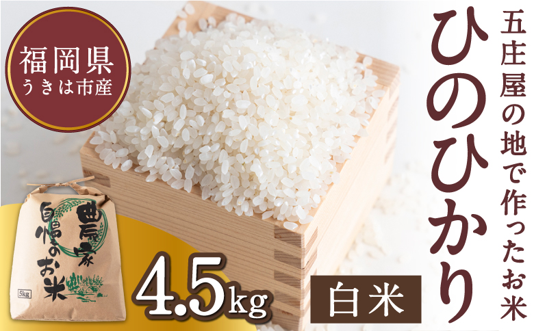 【特Aランク米】五庄屋の地で作ったお米 ひのひかり 白米 (4.5kg)【Go庄屋合同会社】ヒノヒカリ こめ コメ ごはん ご飯 福岡県うきは市産 九州産