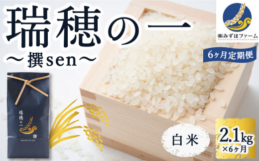 【6ヶ月定期便】みずほファーム「瑞穂の一 “撰sen”」(白米2.1kg × 6ヶ月)