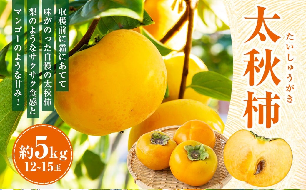 【先行予約】伊藤園 太秋柿 12玉から15玉 約5kg 【2025年10月中旬から10月下旬出荷予定】 ／ 富有柿 柿 果物 フルーツ くだもの うきは市