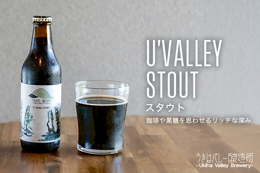 【ふるさと納税】クラフトビール 飲み比べ 4種 8本セット 地ビール ビール 瓶ビール お酒 ギフト 詰め合わせ プレゼント 家飲み お祝い お祝い返し 開店祝い 退職祝い 新築祝い おすすめ 国産 福岡県うきは市 エールビール 送料無料【株式会社うきはバレー醸造所】
