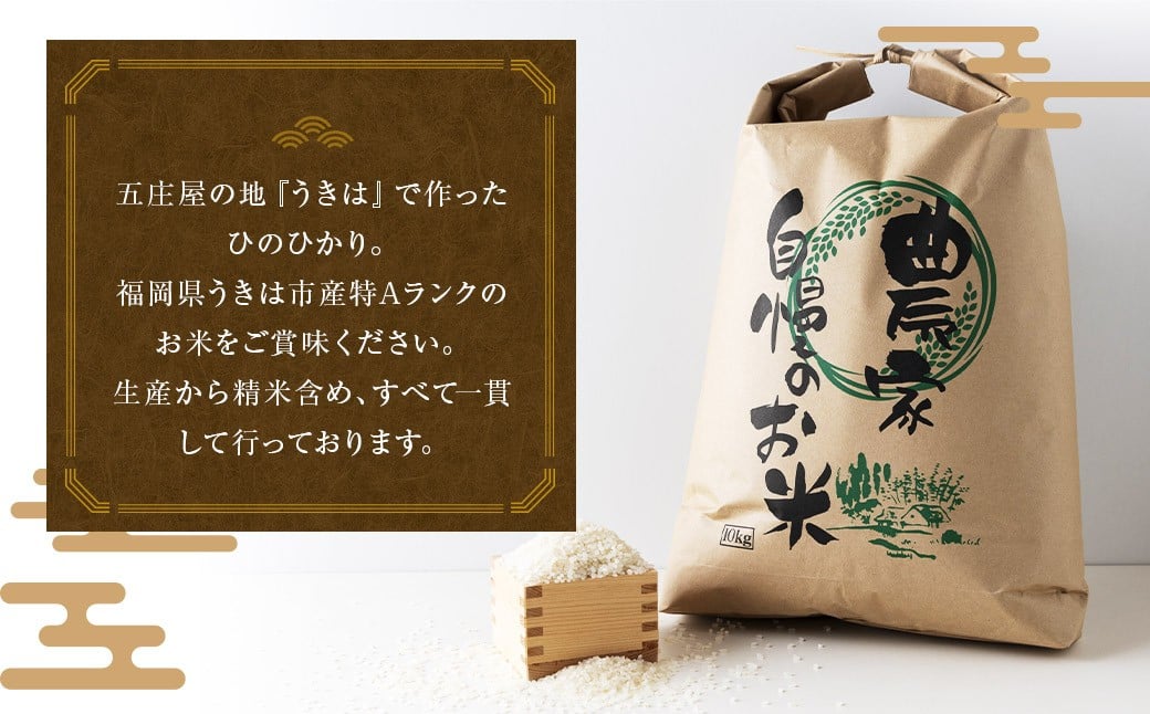 縲千音A繝ゥ繝ウ繧ッ邀ウ縲台コ泌コ螻九ョ蝨ー縺ァ菴懊▲縺溘♀邀ウ 縺イ縺ョ縺イ縺九j 逋ス邀ウ (27kg) 縲2025蟷エ10譛井ク区流繧医j鬆谺。逋コ騾∽コ亥ョ壹 繝偵ヮ繝偵き繝ェ 縺薙a 繧ウ繝。 縺斐ッ繧 縺秘」ッ 遖丞イ。逵後≧縺阪ッ蟶ら肇 荵晏キ樒肇