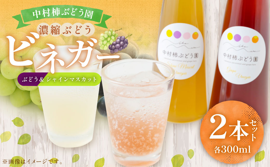 中村柿ぶどう園 濃縮ぶどうビネガー2本セット(ぶどう・シャインマスカット) 各300ml フルーツビネガー 果実酢 フルーツ酢 お酢 酢 ビネガー 濃縮タイプ 飲料 福岡県 うきは市
