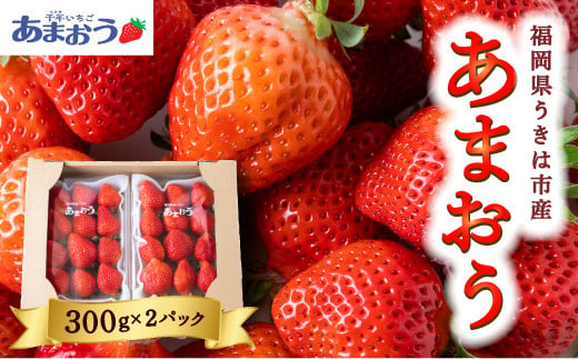 千年いちご あまおうイチゴ (300g×2パック) 2025年1月上旬から1月31日 出荷予定 