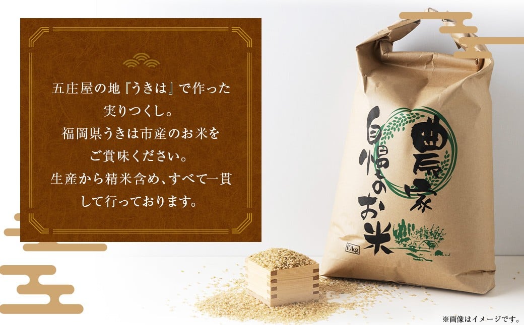 äºåºå±ã®å°ã§äœã£ã ãç±³ å®ãã€ãã çç±³ 5kg ç±³ ã飯 åœç£ ä¹å·ç£ çŠå²¡ç ããã¯åž ã2026幎1æäžæ¬çºééå§ã