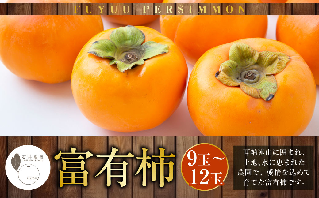 【先行予約】石井農園 富有柿 9玉から12玉 2025年11月中旬から12月上旬 出荷予定