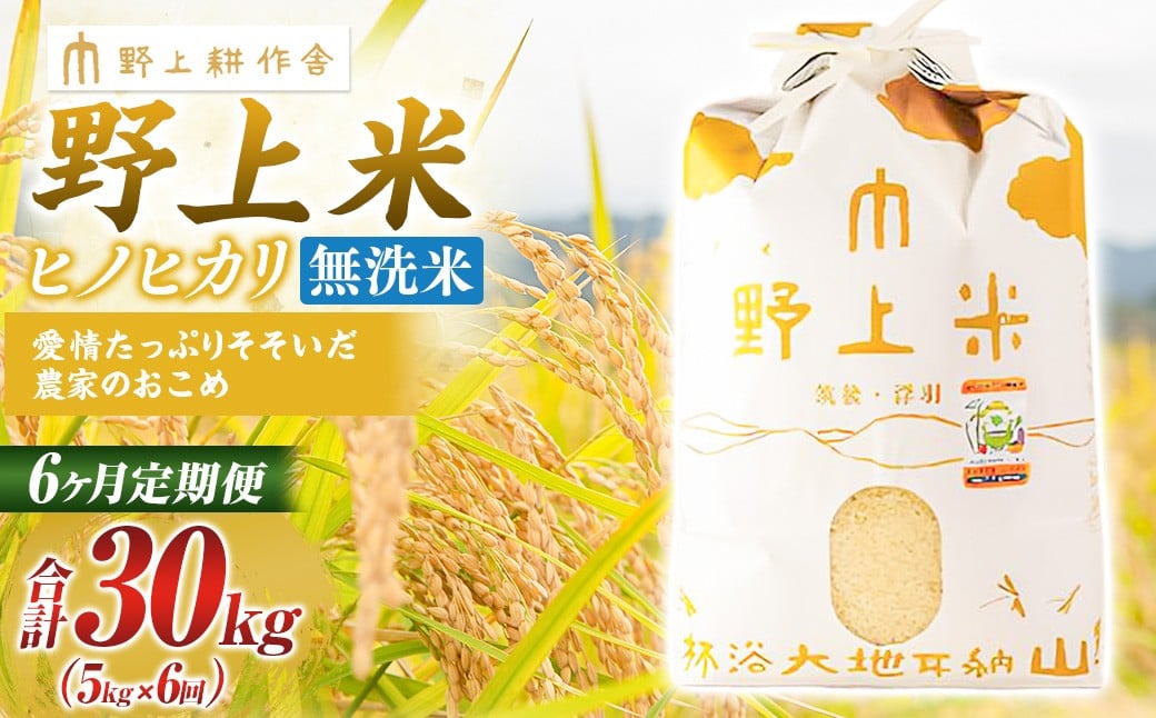 【6か月定期便】 無洗米 野上米 5?×6回 計30kg 【2025年10月下旬より発送予定】 ヒノヒカリ 米 こめ コメ お米 常温 国産