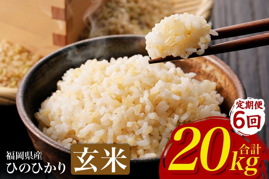 【6回定期便】【ふるさと納税】ひのひかり 米 お米  玄米  20kg 20キロ 福岡県産 うきは市 国産 精米 ご飯 ごはん おにぎり お弁当 人気 おすすめ 家庭用 送料無料 新米 ストック 厳選 農家直送 大容量【JA福岡くるめ にじの耳納の里】