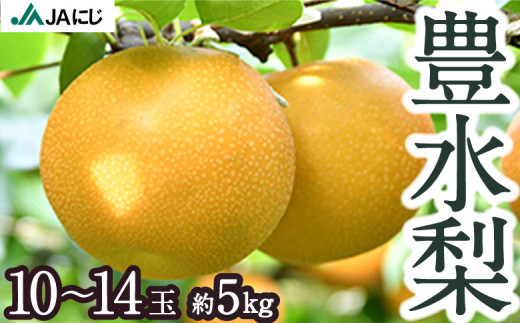 【先行予約】JAにじ 豊水梨 10玉から14玉 (約5kg) 2025年8月中旬から9月上旬 出荷予定