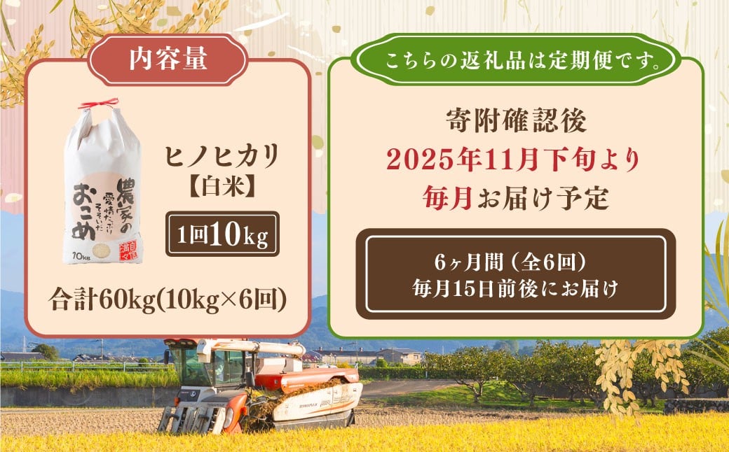 【6ヶ月定期便】日永園 ヒノヒカリ 白米10kg×6ヶ月 【2025年11月下旬より発送予定】 米 お米 ご飯  うきは市