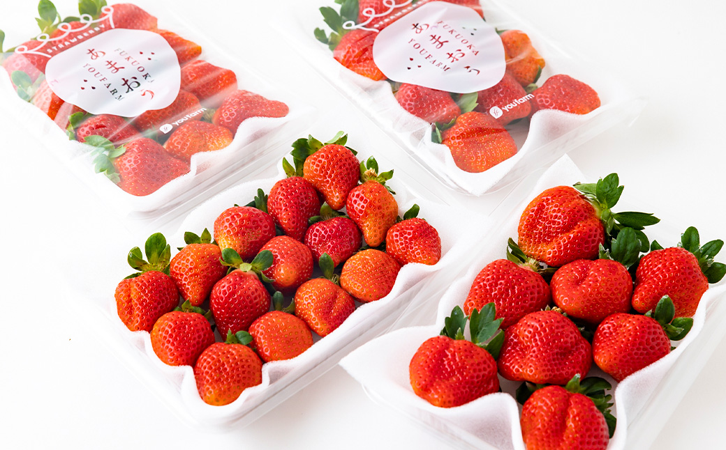 Green's 「いちごの王様」目指す福岡県産あまおう 250g×4パック 4月分 あまおう いちご イチゴ 苺 フルーツ 果物 冷蔵 送料無料 福岡県 うきは市 【2026年4月上旬〜4月中旬より順次発送予定】