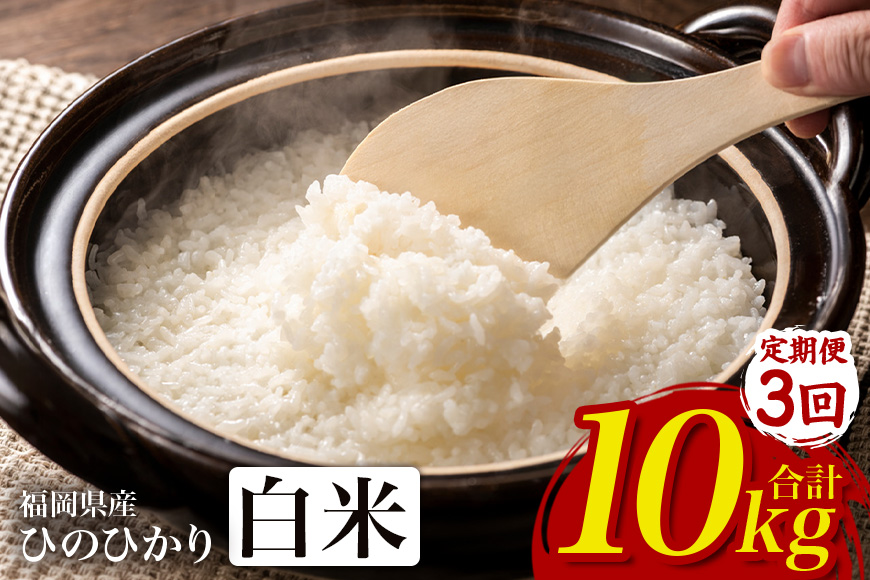 ã3åå®æäŸ¿ãããµãããšçŽçšãã²ã®ã²ãã ç±³ ãç±³ çœç±³ 10kg 10ãã çŠå²¡çç£ ããã¯åž åœç£ 粟米 ã飯 ãã¯ã ãã«ãã ãåŒåœ äººæ° ãããã å®¶åºçš éæç¡æ æ°ç±³ ã¹ãã㯠å³éž 蟲家çŽé 倧容éãJAçŠå²¡ããã ã«ãã®è³çŽã®éã