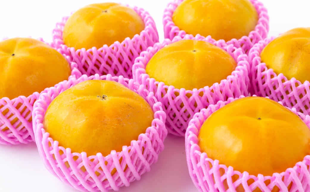 特選太秋柿 3玉  （ 約1kg ）  贈答用 ギフト 太秋柿 柿 フルーツ 果物 ギフト 完熟 【 2026年11月上旬～12月上旬発送予定 】