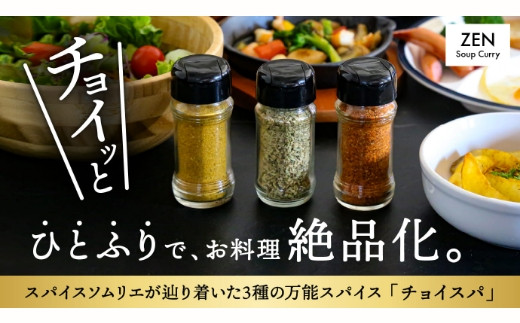 スープカレー専門店 禅 チョイスパ ３種の詰め合わせセット (スパイシー味・カレー味・ホットチリ味) 各40g×3本