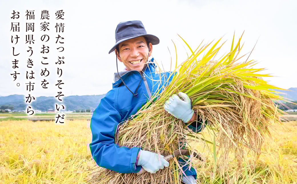 【2025年10月下旬より順次発送開始】野上耕作舎 野上米ヒノヒカリ 玄米10kg ひのひかり 玄米 米 お米 ご飯 国産 九州産 福岡県 うきは市