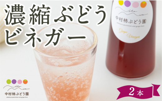 中村柿ぶどう園 濃縮ぶどうビネガー 300ml×2本  フルーツビネガー 果実酢 フルーツ酢