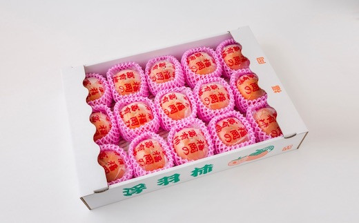 日永園 冷蔵富有柿 12玉から13玉(2Lから3Lサイズ) 【2025年12月下旬から2026年2月下旬出荷予定】 柿 フルーツ 果物