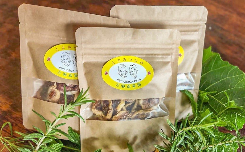 吉瀬森果園 イチジク (とよみつひめ) セミドライフルーツ (45ｇ×3袋)  計135ｇイチジク いちじく 旬 フルーツ 果物 果実 常温 送料無料 福岡県 うきは市