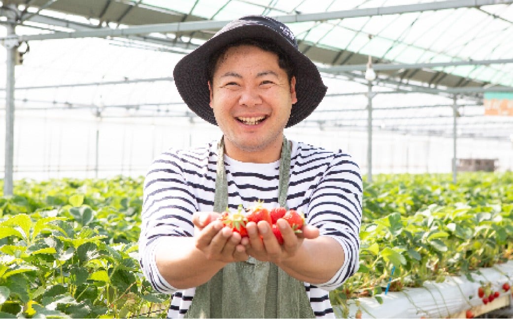 【2026年2月発送】 よかもんいちご 4品種食べ比べセット 8パック入り （計約2.16kg） よかもん苺 苺 いちご イチゴ 果物 果実 フルーツ 九州 福岡県 うきは市 冷蔵