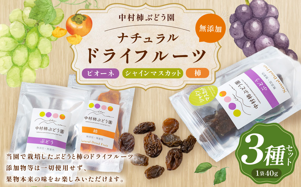 中村柿ぶどう園 ナチュラルドライフルーツ 3種セット (ピオーネ・柿・シャインマスカット) 各約40g
