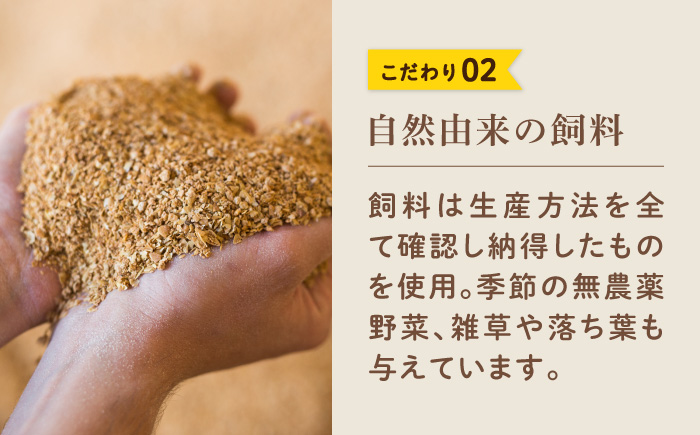 【12ヶ月定期便】平飼い 山もりたまご 40個 安心安全 おいしさに感動 たまご 卵 高級卵 平飼い 安心安全 飼料にこだわり 成長剤 ホルモン剤 添加物不使用 12回定期便