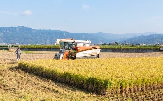 日永園 ヒノヒカリ 白米5kg 2024年10月上旬より順次出荷予定