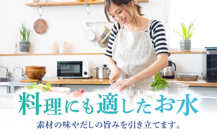 【3回定期便】赤ちゃんも安心して飲める 清水湧水 軟水 500ml 計48本 非加熱殺菌 ミネラルウォーター【株式会社清水】天然水の風味を損なわないよう非加熱殺菌 天然水 水 軟水 ペットボトル 500 500ml 定期便