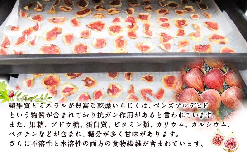 吉瀬森果園 イチジク (とよみつひめ) セミドライフルーツ (45ｇ×3袋)  計135ｇイチジク いちじく 旬 フルーツ 果物 果実 常温 送料無料 福岡県 うきは市