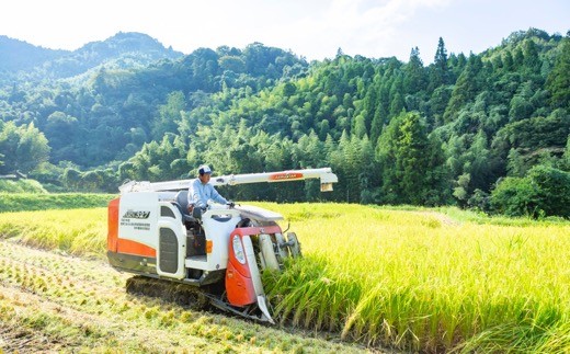 佐藤ファーム 棚田夢つくし 白米10kg