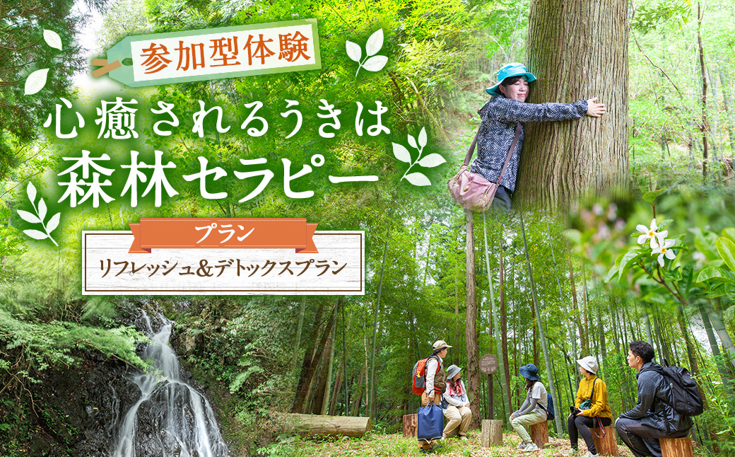 【参加型体験】リフレッシュ&デトックス 心癒されるうきはの森林セラピー ／ 癒やし リフレッシュ 森 うきは市