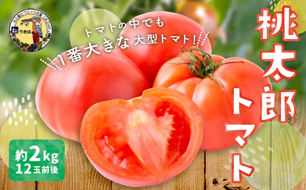 道の駅 うきは 桃太郎トマト 12玉前後 （約2kg） 【2024年12月1日〜12月30日、2025年1月5日〜5月20日 出荷予定】 トマト とまと ももたろうトマト 大玉トマト 野菜 ベジタブル 新鮮 フレッシュ お取り寄せ 福岡県 うきは市